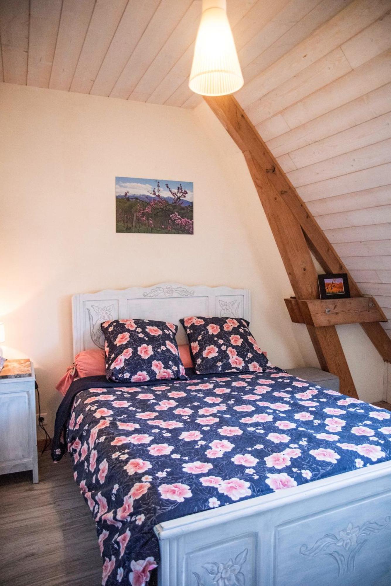 Pesaulhe Bed & Breakfast Monein Екстериор снимка